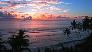 mind release song and video