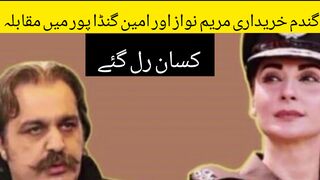 گندم خریداری مریم نواز اور امین گنڈا پور میں مقابلہ کسان رل گئے