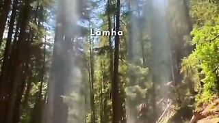 status,status video,status song,status whatsap,beast song,good song,video,natural 186