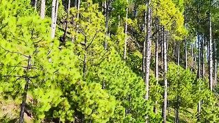 status,status video,status song,status whatsap,beast song,good song,video,natural 188