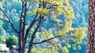status,status video,status song,status whatsap,beast song,good song,video,natural 189