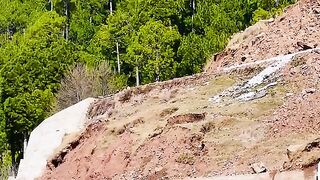 status,status video,status song,status whatsap,beast song,good song,video,natural 193