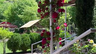 status,status video,status song,status whatsap,beast song,good song,video,natural 194