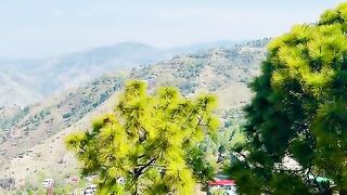 status,status video,status song,status whatsap,beast song,good song,video,natural 211