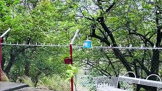 status,status video,status song,status whatsap,beast song,good song,video,natural 215