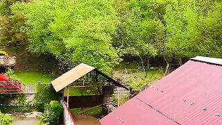 status,status video,status song,status whatsap,beast song,good song,video,natural 219