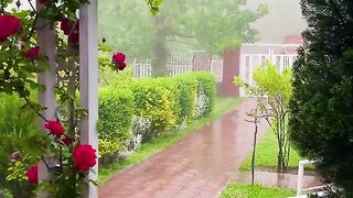status,status video,status song,status whatsap,beast song,good song,video,natural 222