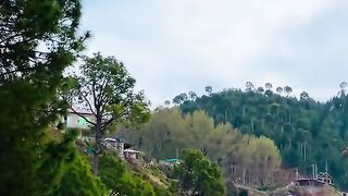 status,status video,status song,status whatsap,beast song,good song,video,natural 231