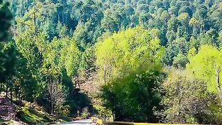 status,status video,status song,status whatsap,beast song,good song,video,natural 238