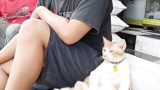 kucing gemoy 2