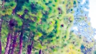 status,status video,status song,status whatsap,beast song,good song,video,natural 240