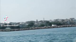 جزيرة ارواد