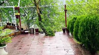 status,status video,status song,status whatsap,beast song,good song,video,natural 244