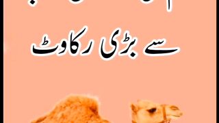 Jahanam Ki Rah Me Rukawat #hadeesenabvi #jahannam #islamicculture