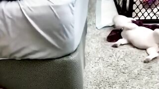 Part 132 _ Funny animals videos from TikTok! Try not to laugh! ???????????????????? 2