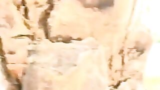 Mehram hai tu mere Dil ka song