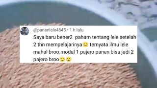 Ternyata ILMU ternak lele MAHAL ???? Modal 1 Pajero PANEN jadi 2 PAJERO ????????????