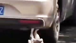 most watch funny,funny clips video,shorts funny video,dry comedy stand up,totally amaizing funny video,funny comedy specials,clean stand up