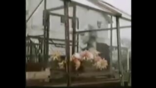 ICEBERG MOST DISTURBING MOVIES