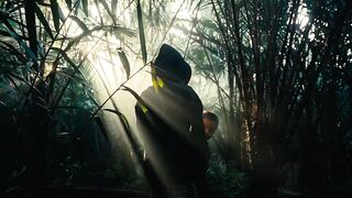 A Streak Of Light