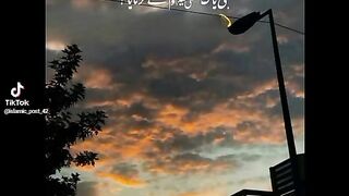 status 87