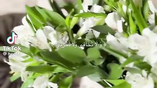 مكانة المرأة في الإسلام#سكينة