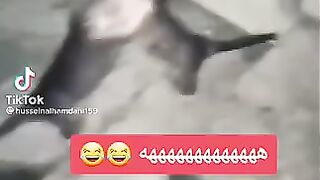 Trim video