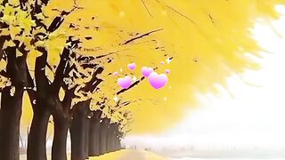 status,status video,status song,status whatsap,beast song,good song,video,natural 248