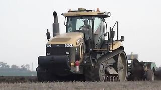 GIRL ON TRACTOR  Giulia and Fendt Favorit 920  Sorghum Silage