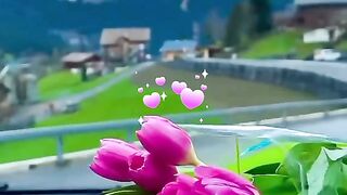 status,status video,status song,status whatsap,beast song,good song,video,natural 251