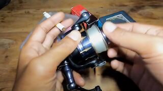 FIRST GAMBLIS 2024 CAUGHT || fishing in the sea