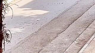 funny video funny video baby funny video baby ki funny videos 2023 funny videos 2023 pakistan tikt