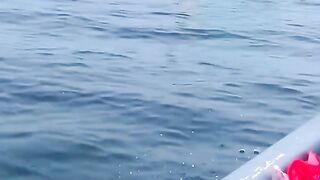 Catch the fish in net