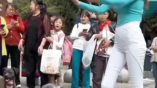 Pet jump with the girl fun????#Trending️ #febspot