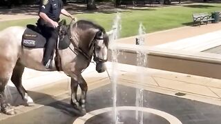 Heartwarming Texas Police Officer & Horse Beat the Heat in Style! ❤️ #shorts