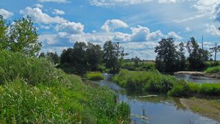 Rafting on the river Teza - Dunilovo, Shuya, Sergeevo