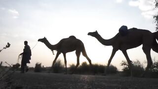 حضرت داؤدؑکی قوم بندر کیسے بنی