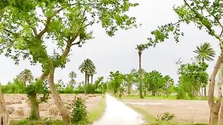 Pendwala