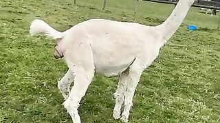 Baby born 4