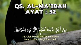 video 396