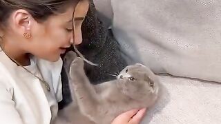 Very beautiful cat Cuts
