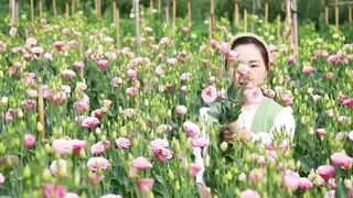 Eating spring flowers- is a romantic and delicious activity!