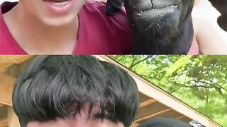 Parodi lucu