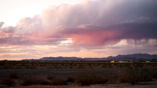 "Exploring Untamed Beauty: A Natural Escape"