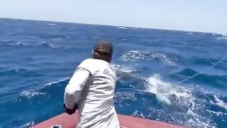 Catch fish in sea