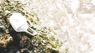 "Hidden Paradises: A Natural Adventure"