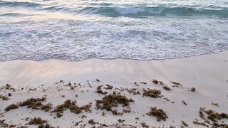 "Nature's Harmony: A Scenic Exploration"