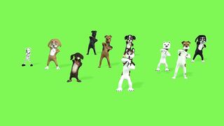 love dogs