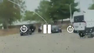 Vehicular death