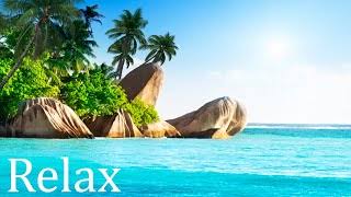 Beach and relaxing sleep music.Have a relaxing time and relieve stress with relaxing music